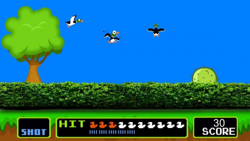 Duck Hunt